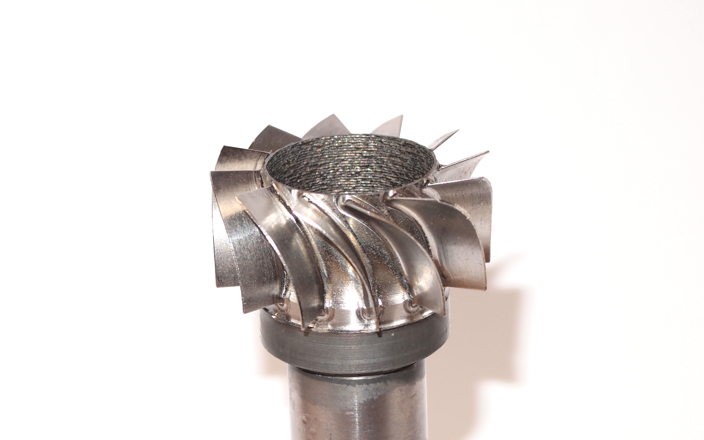 image.meta.description